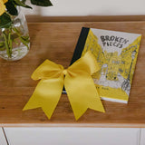 Broken Pieces & Yellow Bow