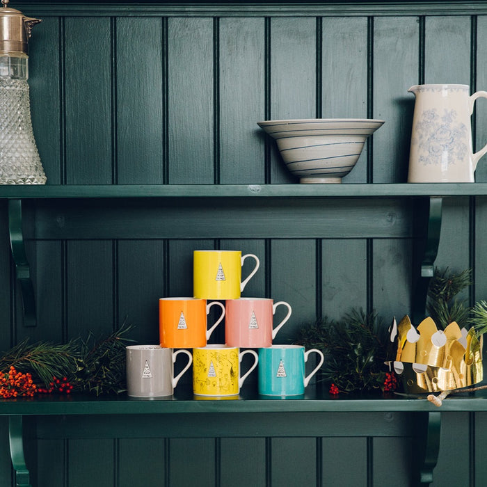 Coloured Mug Set of 6