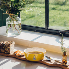 Set Of Two Yellow Bowls